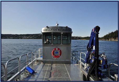 Amco Veba boat crane on a patrol vessel